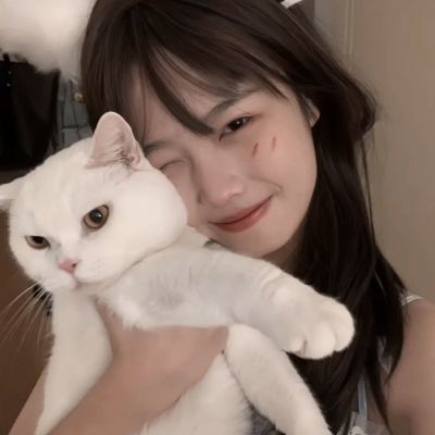 萌妖录破解版下载